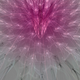 Image for article titled What Is This?